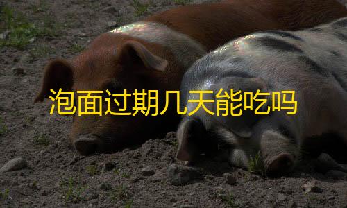 暗区突围透视辅助工具泡面过期几天能吃吗